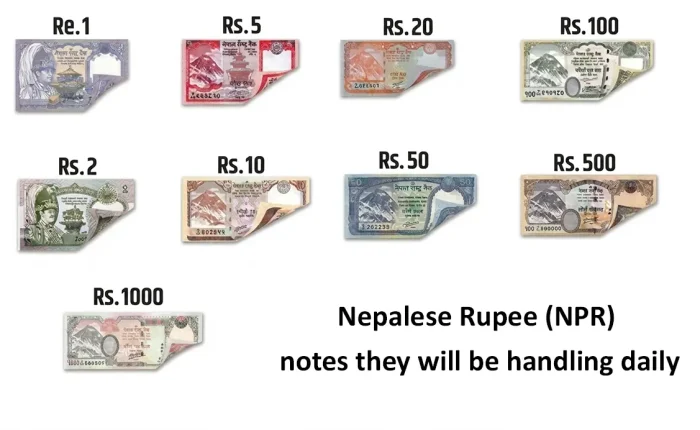 A comprehensive visual chart showcasing different Nepalese Rupee (NPR) banknotes from 1, 2, 5, 10, 20, 50, 100, 500, to 1000 rupees with curled corners on a plain white background.