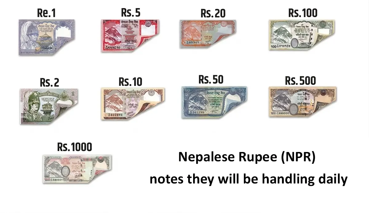 A comprehensive visual chart showcasing different Nepalese Rupee (NPR) banknotes from 1, 2, 5, 10, 20, 50, 100, 500, to 1000 rupees with curled corners on a plain white background.