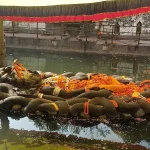 The reclining black stone statue of Lord Vishnu draped in orange robes and marigold garlands, floating in a sacred water pond at Budhanilkantha Temple, Kathmandu.