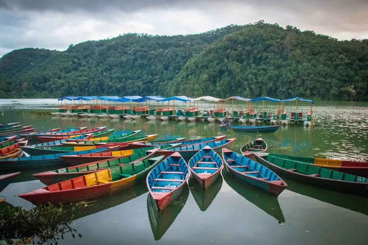 A large cluster of brightly painted traditional wooden doonga boats floating on the calm waters of Phewa Lake in Pokhara, Nepal.