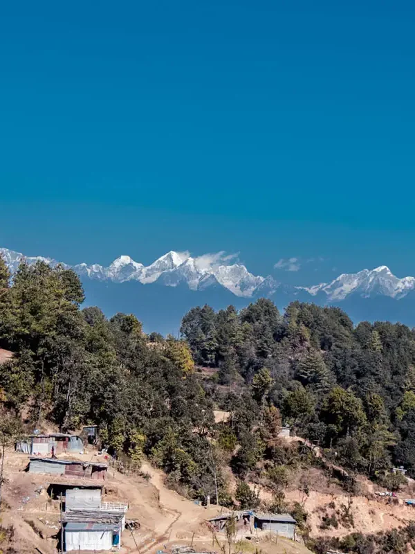 A rural hillside village in Nagarkot with green pine trees and terraced land, featuring the snow-capped Himalayan peaks under a clear blue sky.