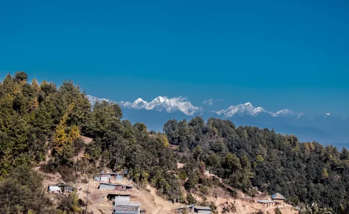 A rural hillside village in Nagarkot with green pine trees and terraced land, featuring the snow-capped Himalayan peaks under a clear blue sky.