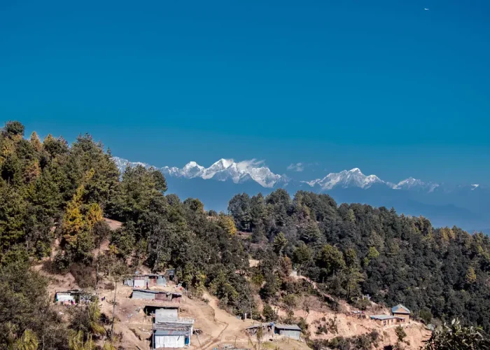 A rural hillside village in Nagarkot with green pine trees and terraced land, featuring the snow-capped Himalayan peaks under a clear blue sky.