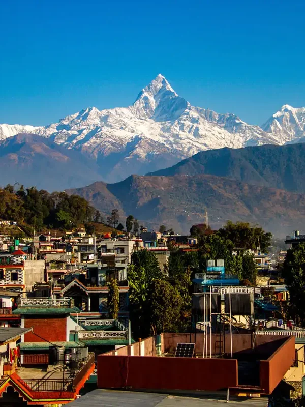 The colorful buildings of Pokhara city valley stretching towards the snow-covered peak of Mount Machapuchare under a clear blue sky.